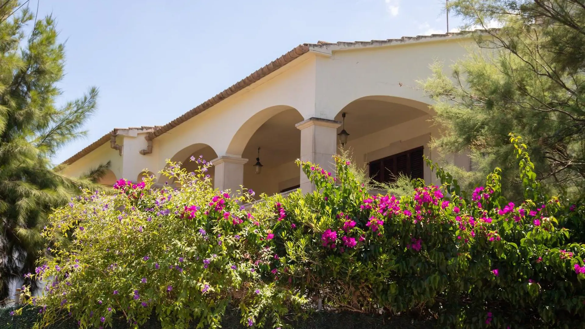 Apartament Sea Horse Oasis Playa de Muro  Playa de Muro (Mallorca)